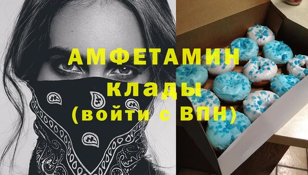 стафф Касимов
