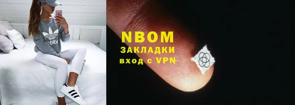 мдпв Карпинск