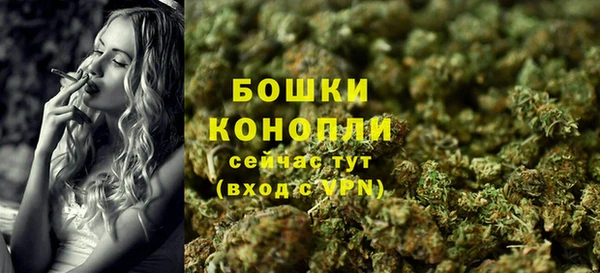 мдпв Карпинск