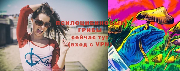 мдпв Карпинск
