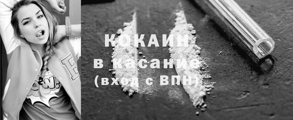 стафф Касимов