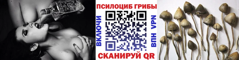 Псилоцибиновые грибы ЛСД  Княгинино 