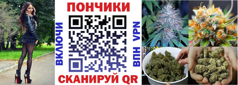 Канабис планчик  Княгинино 